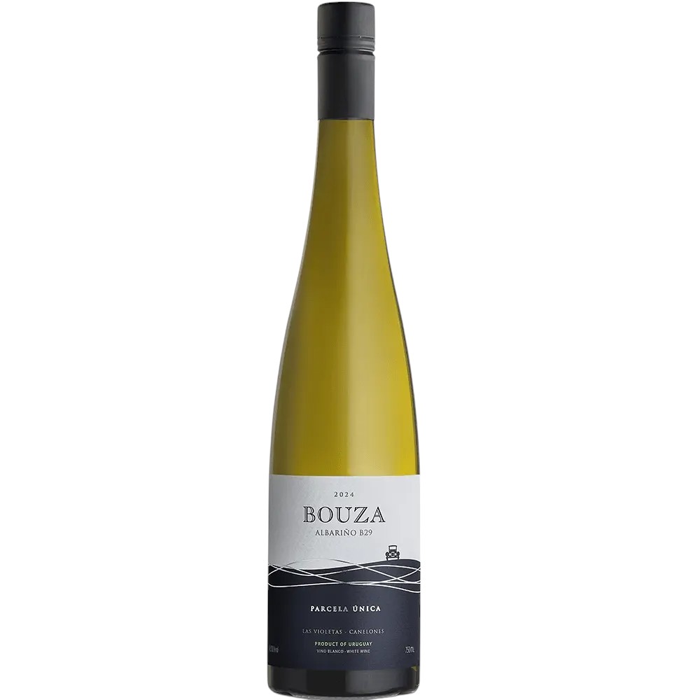  BOUZA ALBARINO B29 PARCELA UNICA